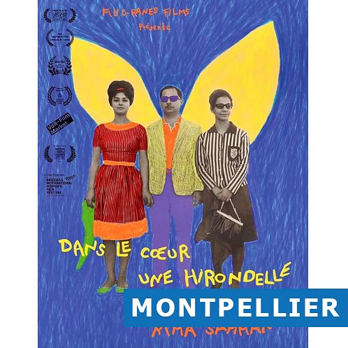 DANS LE CŒUR UNE HIRONDELLE  thumbnail