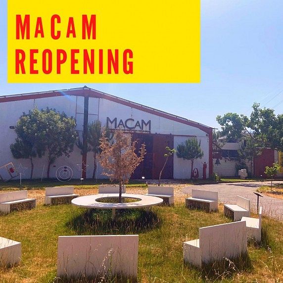 Museum Reopening - Excitement as Usual thumbnail