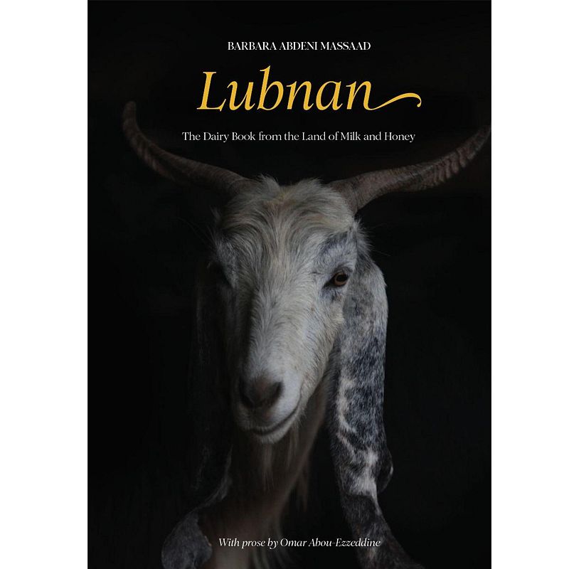 Le pays du lait et du miel : le Liban intime de Barbara Abdeni Massaad
