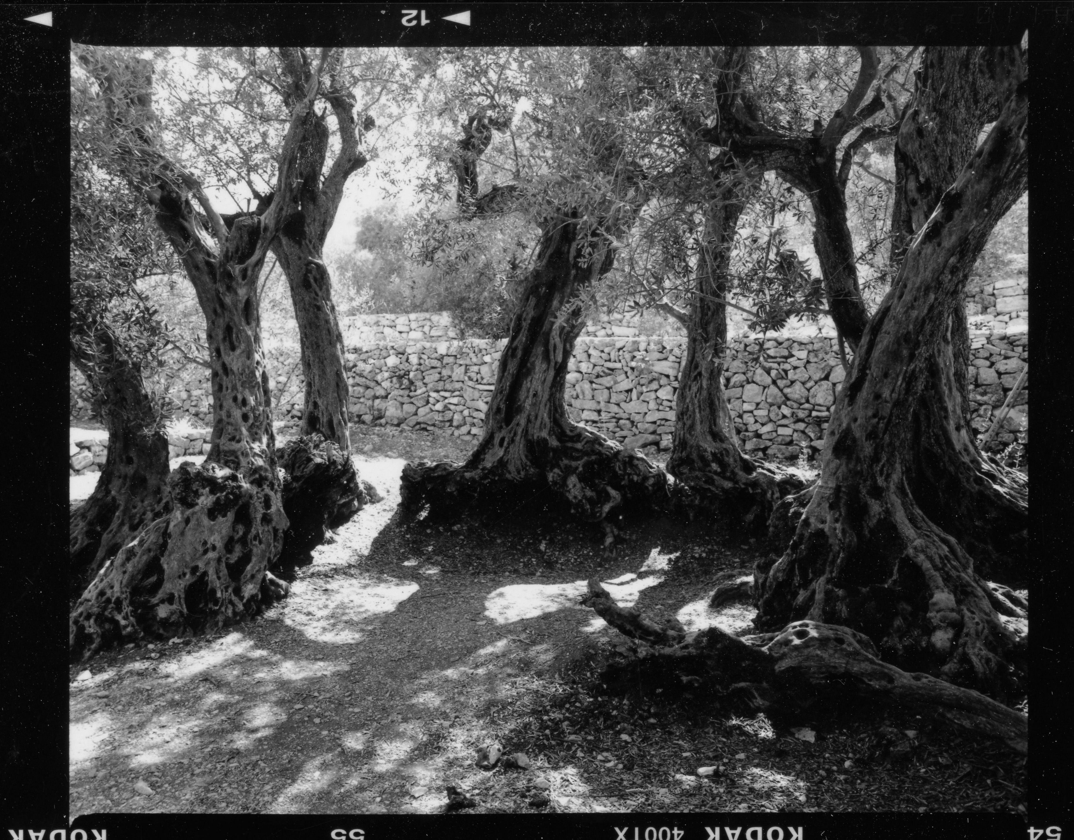 A Roof for Silence – La Biennale di Venezia thumbnail