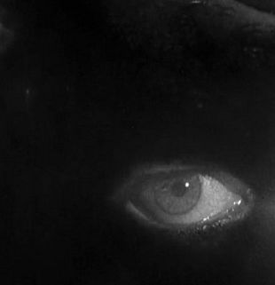 Beirut Art Film Festival : Vertigine thumbnail