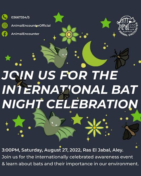 INTERNATIONAL BAT NIGHT CELEBRATION thumbnail