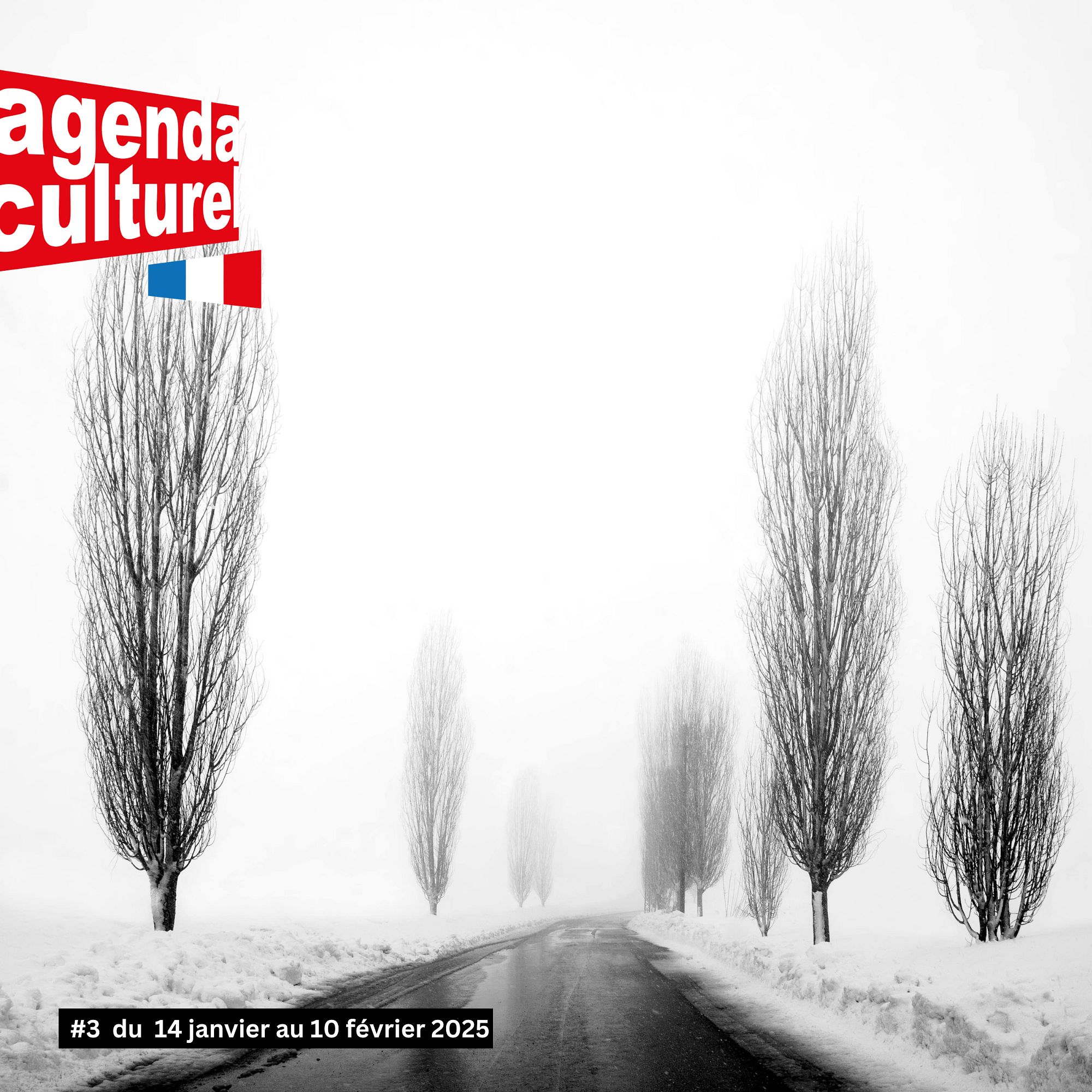 L’Agenda Culturel du Liban en France #3. thumbnail