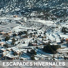 Le CHOUF, UNE DESTINATION ÉCO-TOURISTIQUE thumbnail