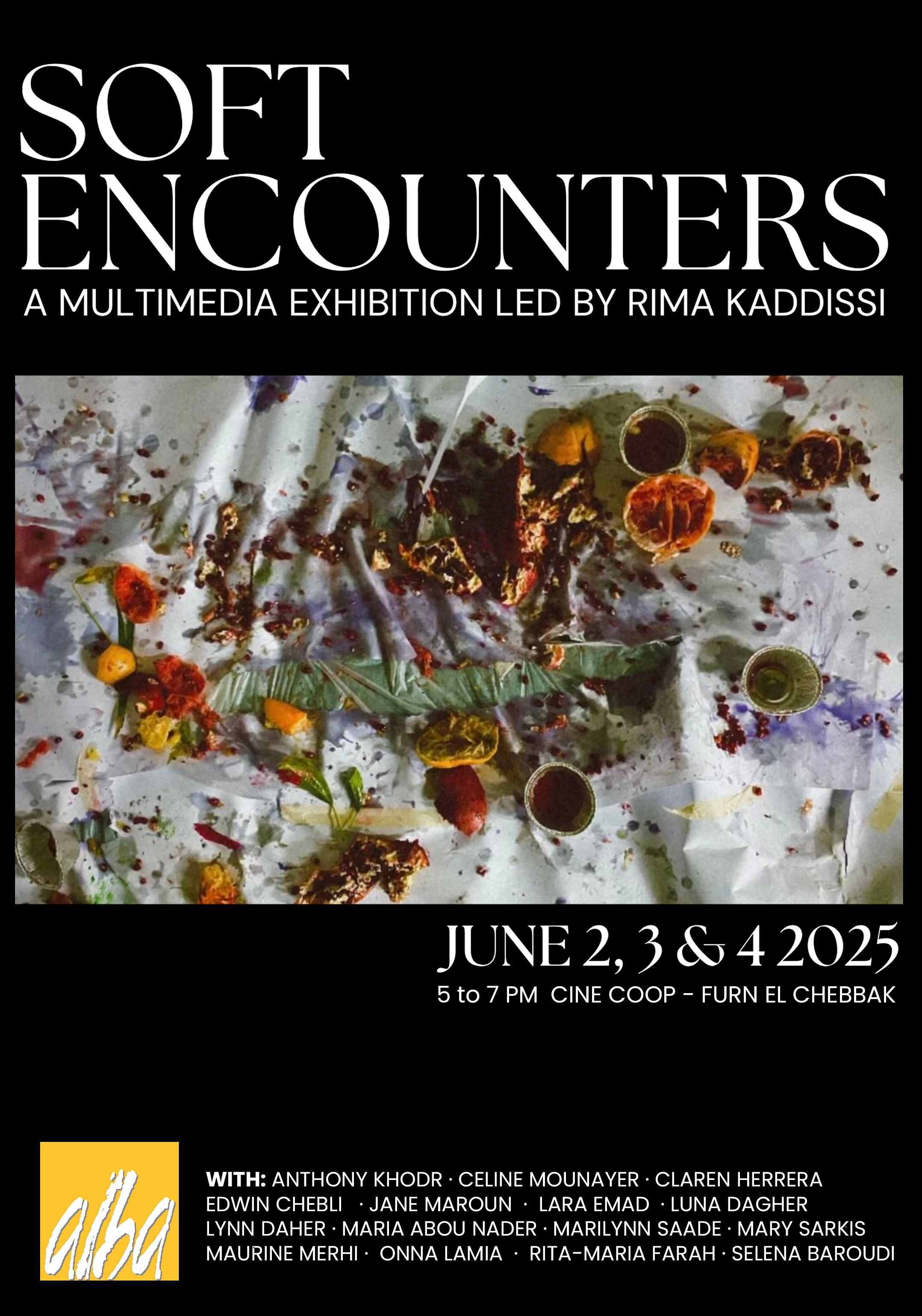 SOFT ENCOUNTERS thumbnail
