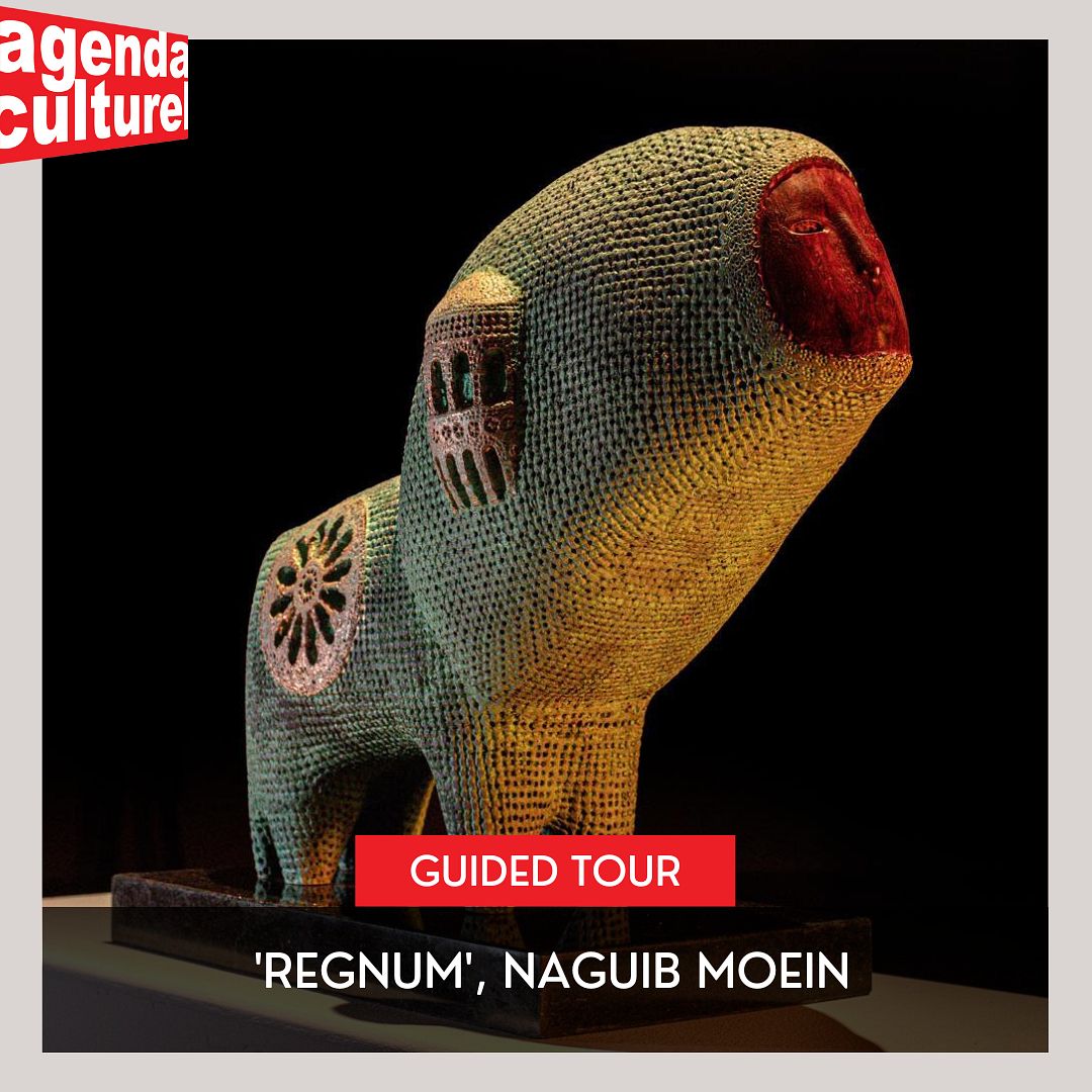 GUIDED TOUR OF THE EXHIBITION 'REGNUM', NAGUIB MOEIN thumbnail