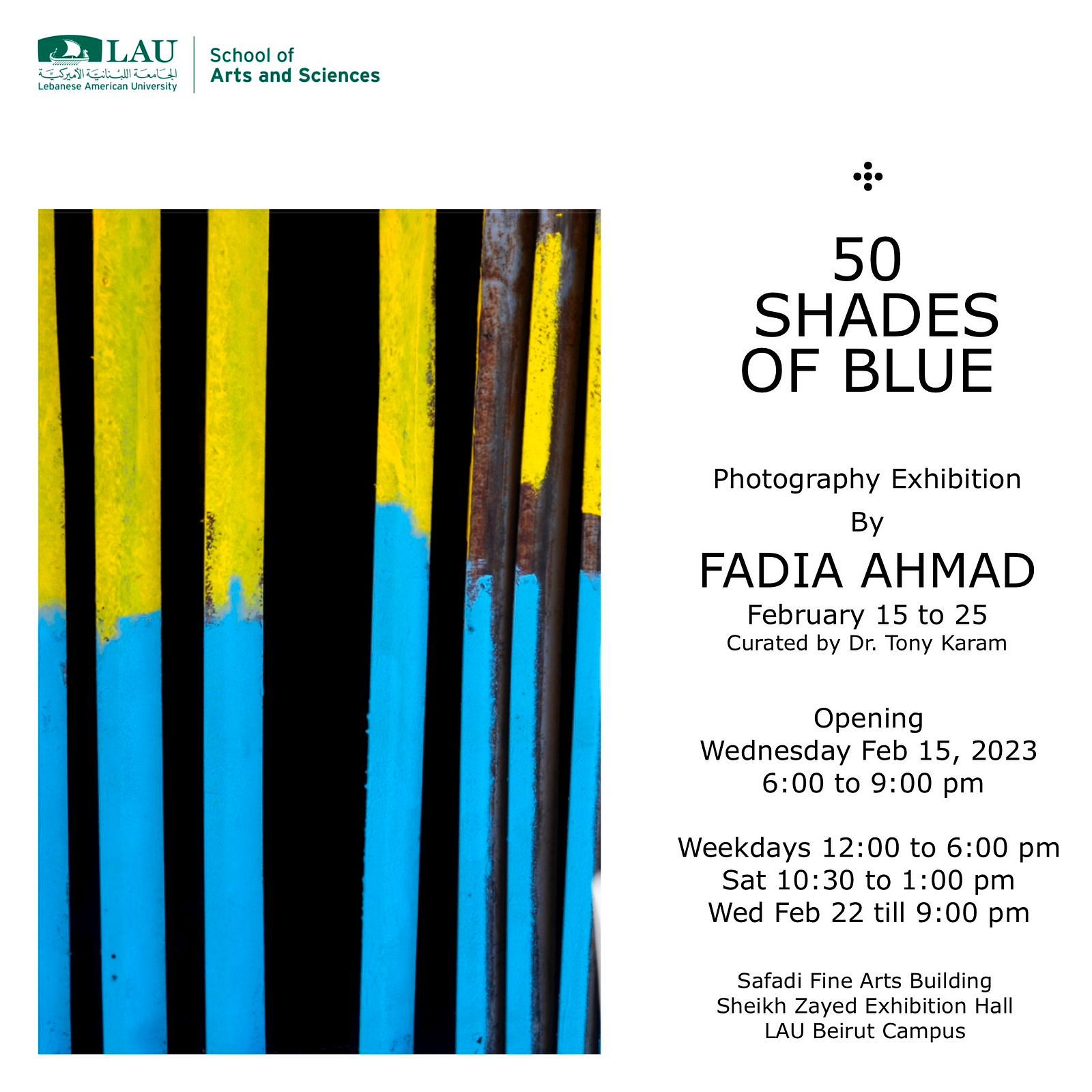 50 SHADES OF BLUE, FADIA AHMAD thumbnail