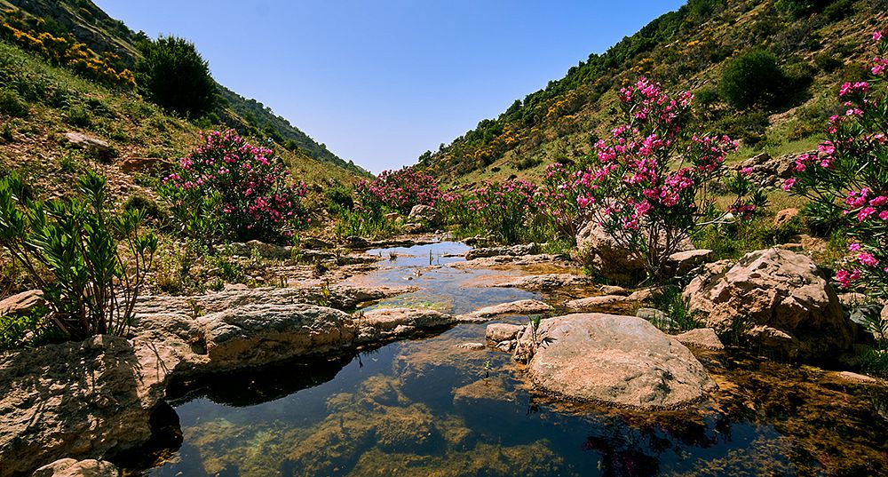 RENOUEZ AVEC LA NATURE DU LIBAN thumbnail