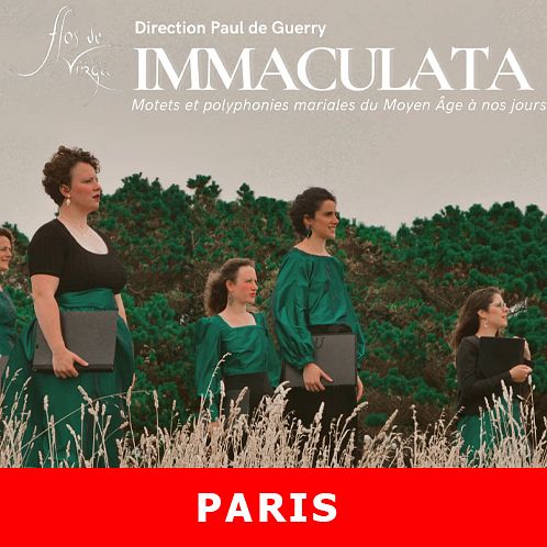 IMMACULATA thumbnail