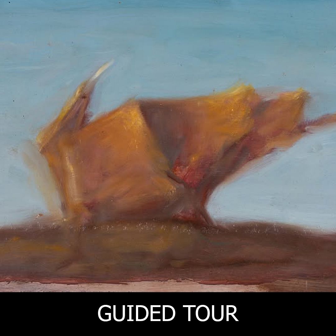 GUIDED TOUR #201 : 'STEREO VISION' BY PETRAM CHALACH thumbnail