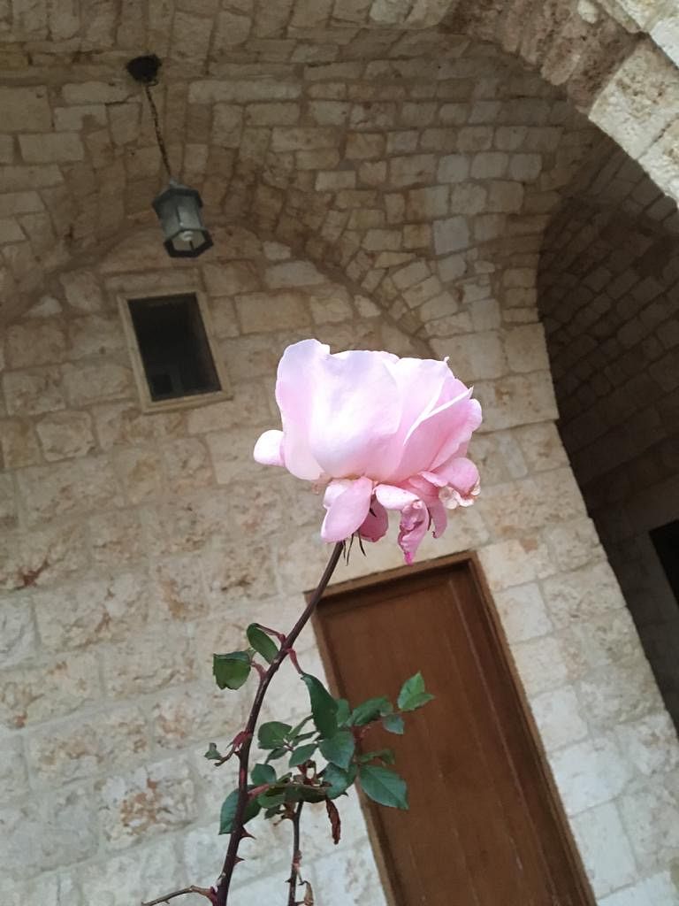 file_image