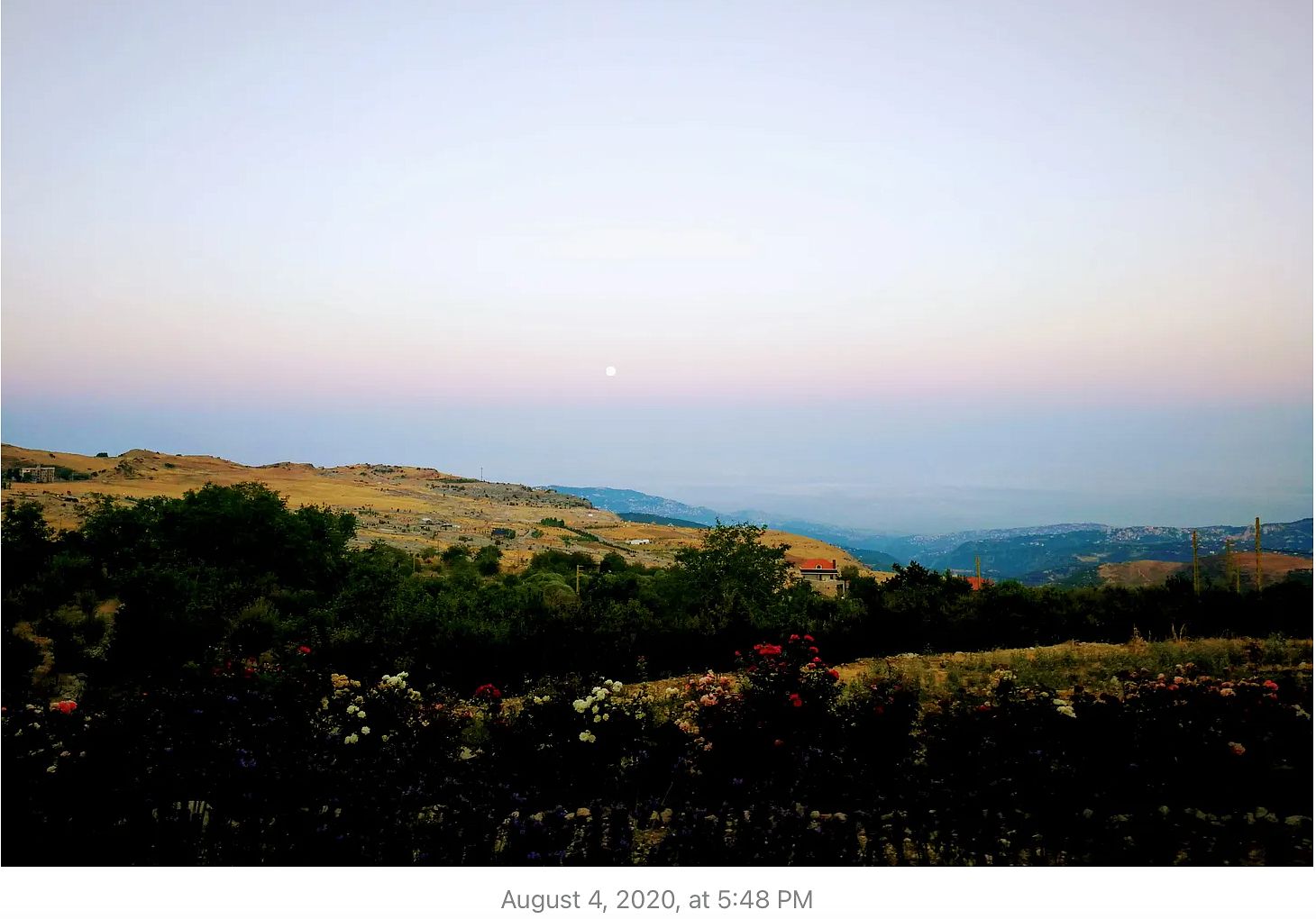 file_image