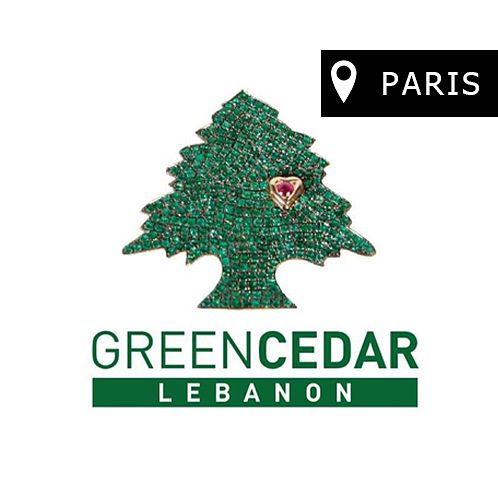 Dessine moi un Cedre dessine ton liban thumbnail