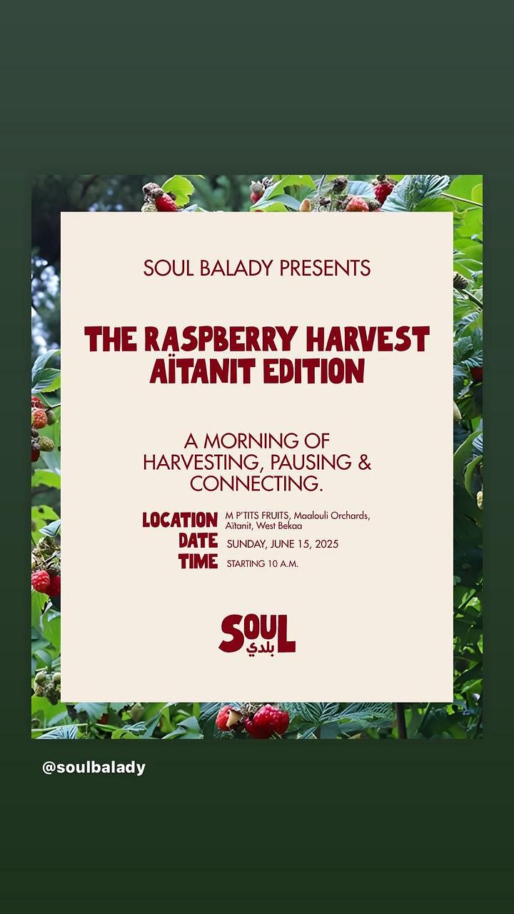 THE RABERRY HARVEST AINTANIT EDITION thumbnail