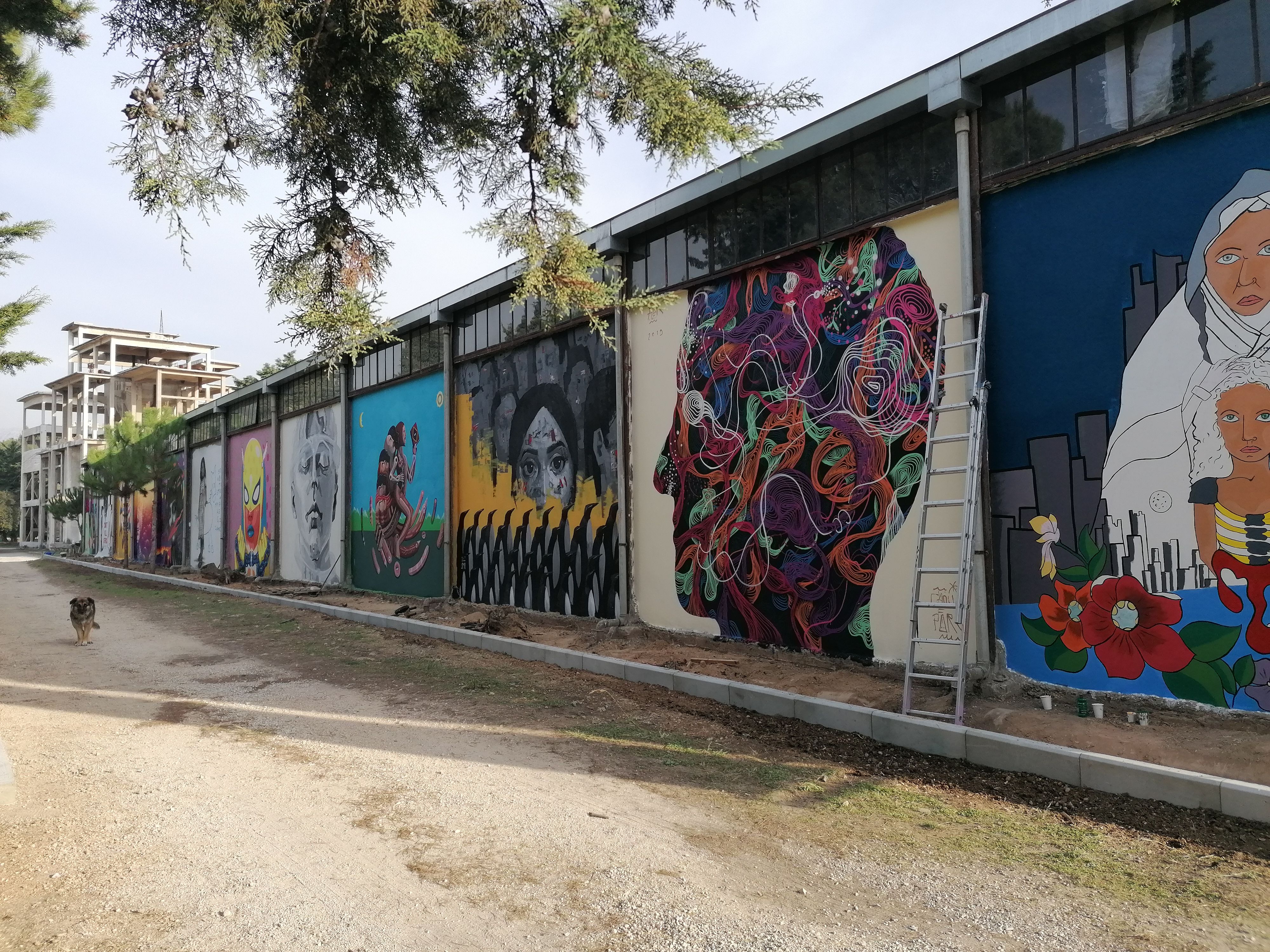 Wall of Contemplation- Graffiti Art thumbnail