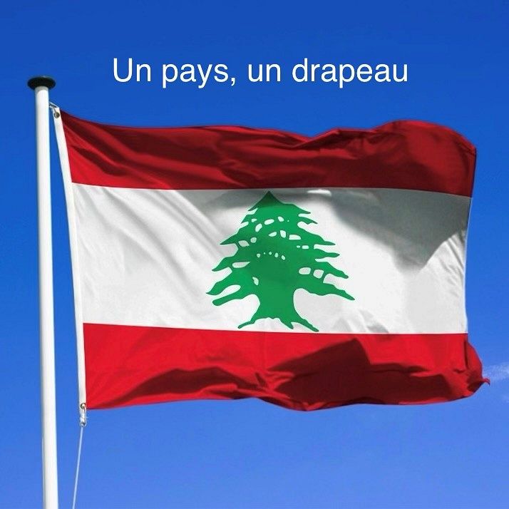 Nos pages sont les vôtres :  Le cri d’un pays brisé
