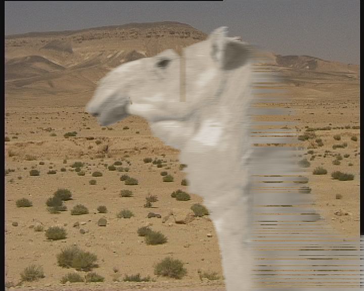 THIS DAY (AL YAOUM), AKRAM ZAATARI thumbnail