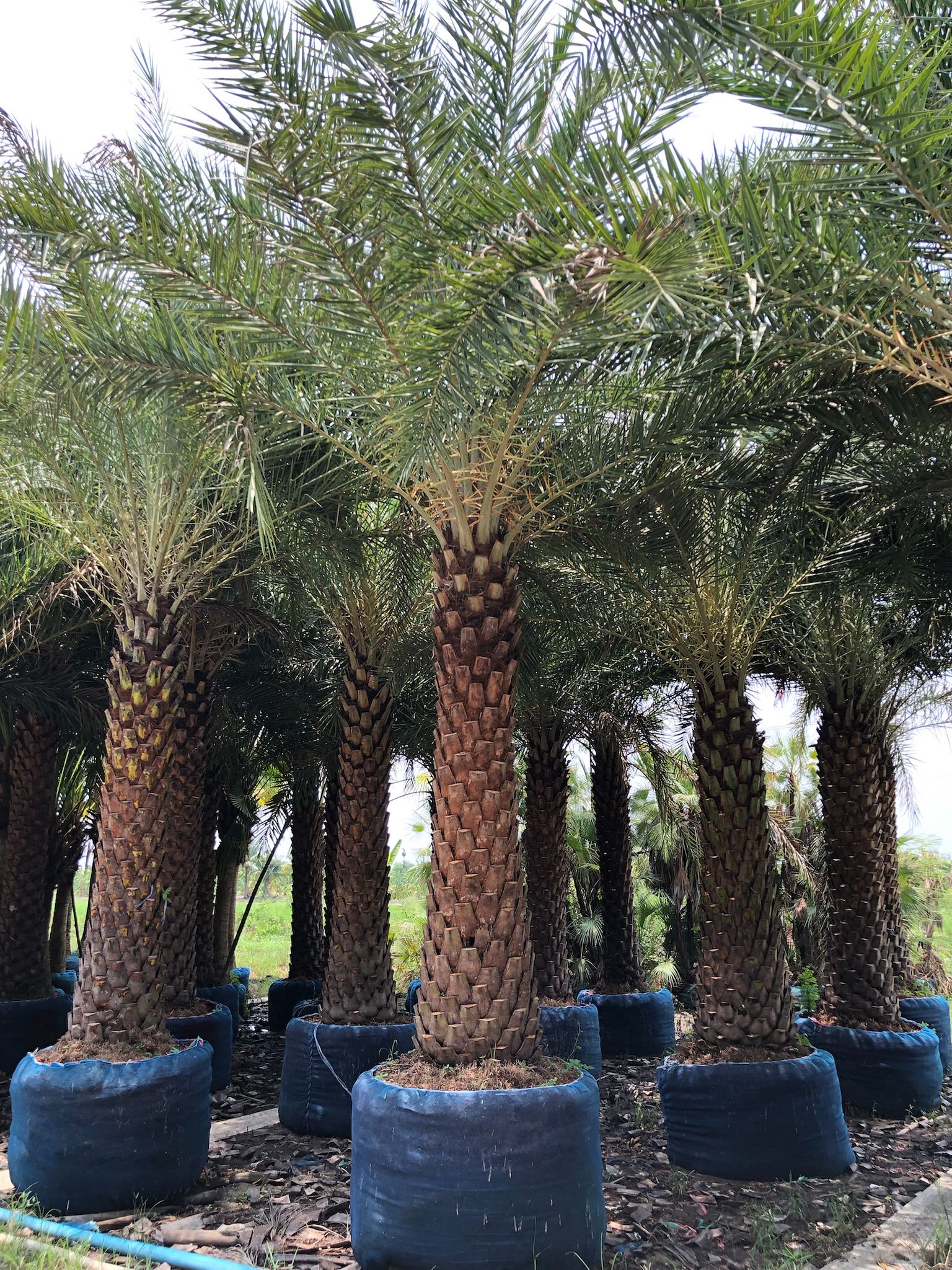 info-block-thumbnail